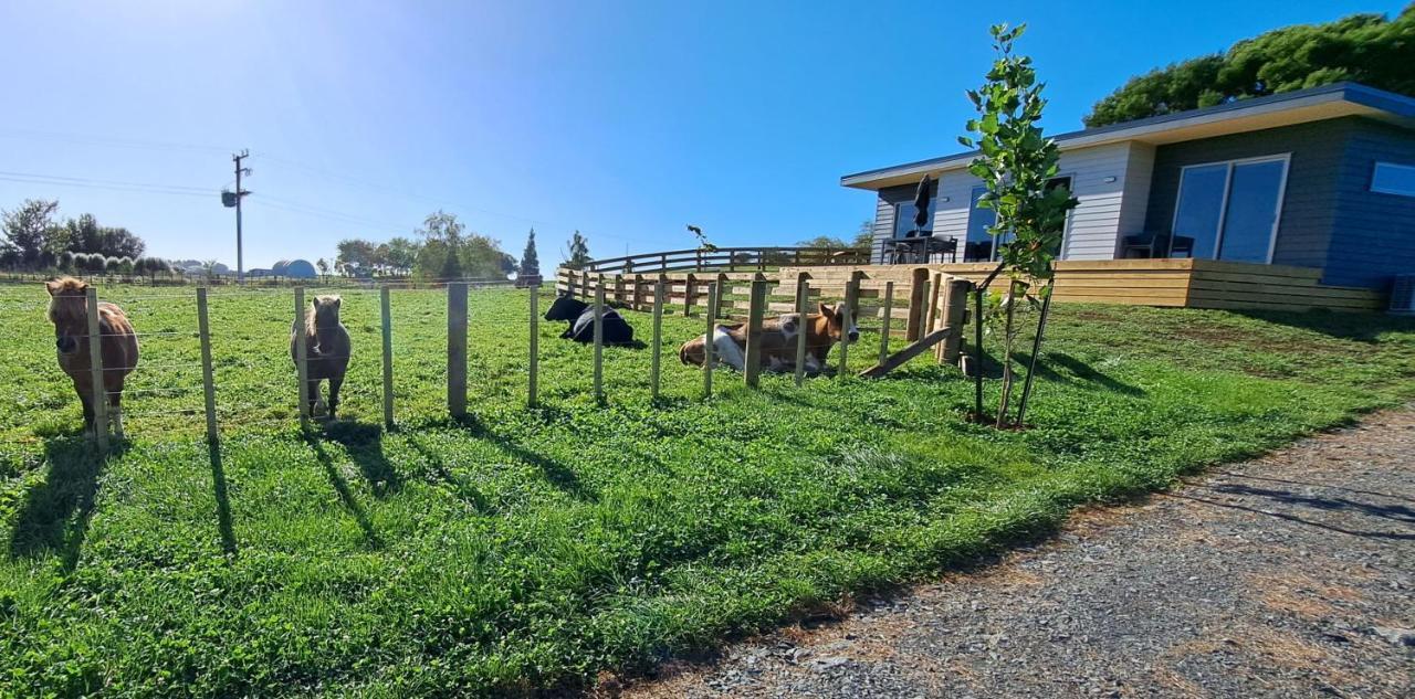 Country Comfort - Only 10 Minutes From Hamilton Cbd Ngoại thất bức ảnh
