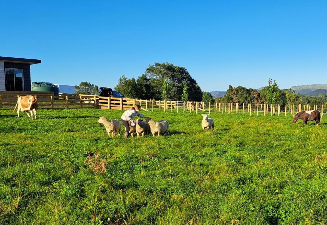 Country Comfort - Only 10 Minutes From Hamilton Cbd Ngoại thất bức ảnh